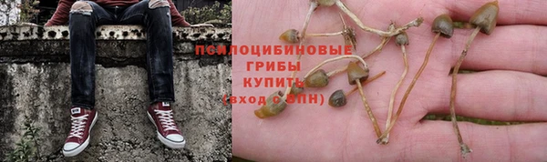 соль курить ск Гусь-Хрустальный