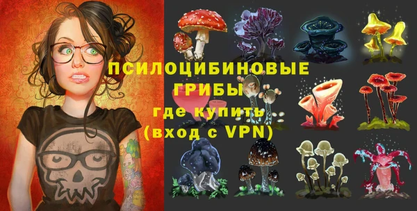 бутират Гусев