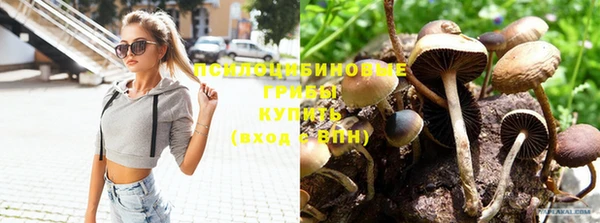 соль курить ск Гусь-Хрустальный