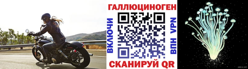 Псилоцибиновые грибы мицелий  Купить где  Серафимович 